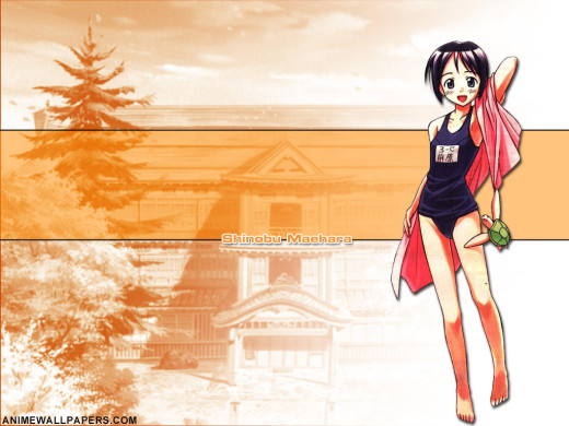 178791 (a): :1024x768
